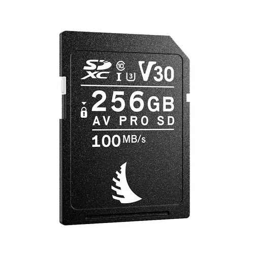 Angelbird 256 GB V30 SD Karte AV UHS-I