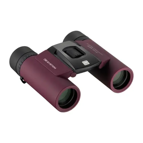 OM SYSTEM 8x25 WP II Fernglas Deep Purple