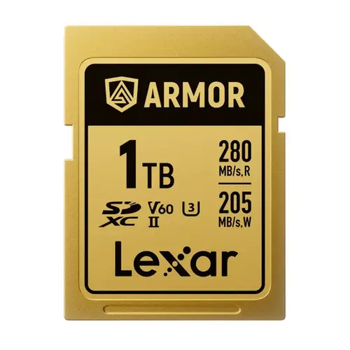 Lexar Armor Pro Gold 1 TB SDXC V60 (280/205 MB/s) Speicherkarte