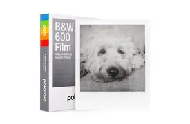 Polaroid B&W 600 Sofortbildfilm